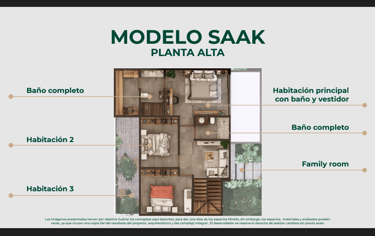 Miralta Saak - imagen 11