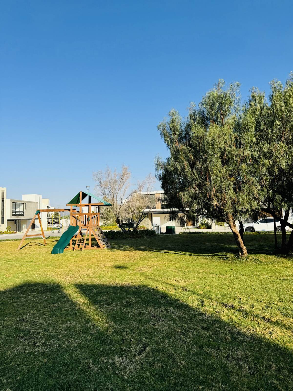 Columba Miraalta - imagen 15