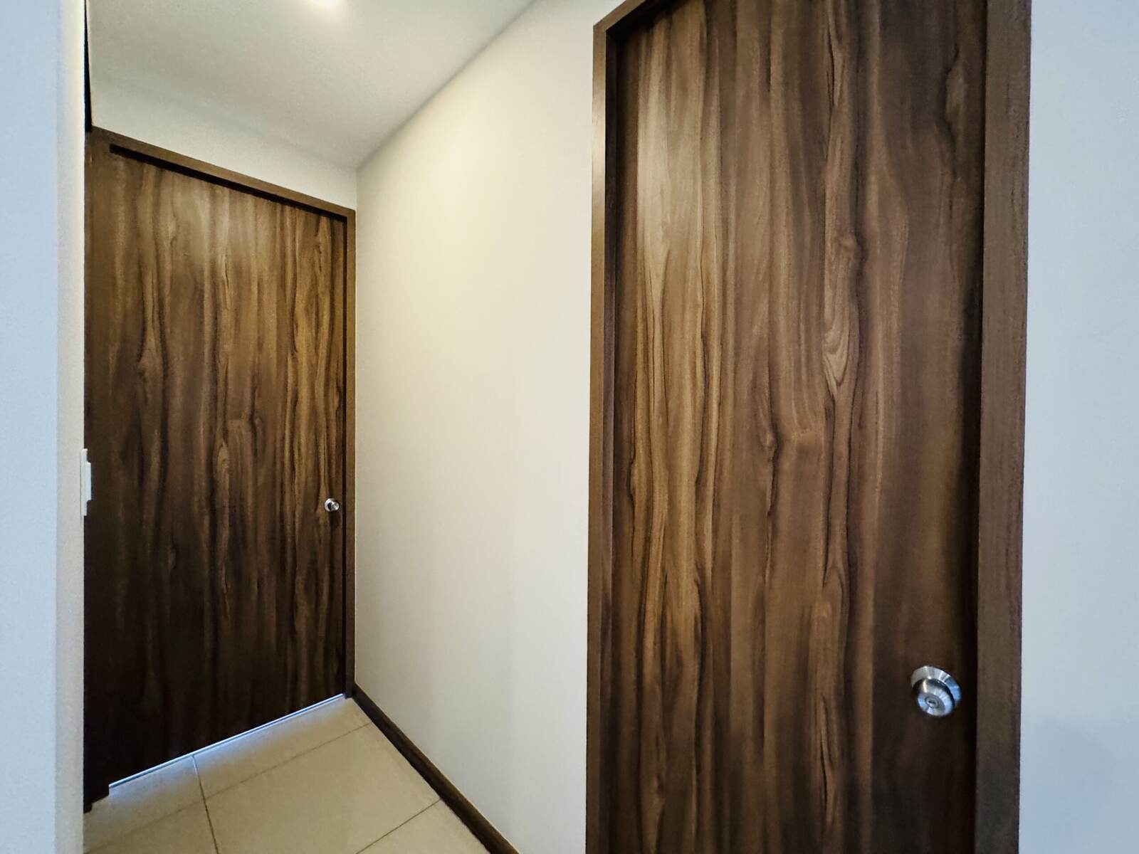 Dioon 1202 - imagen 17
