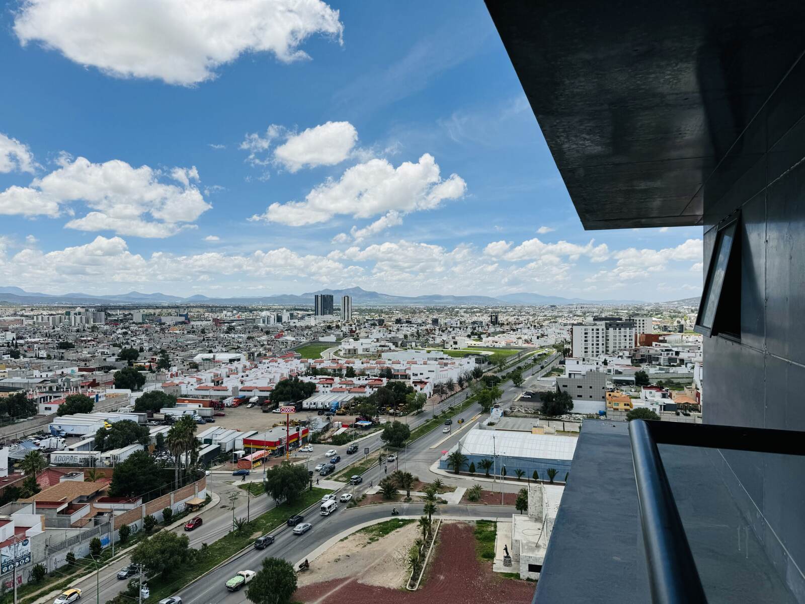 Dioon 1202 - imagen 4