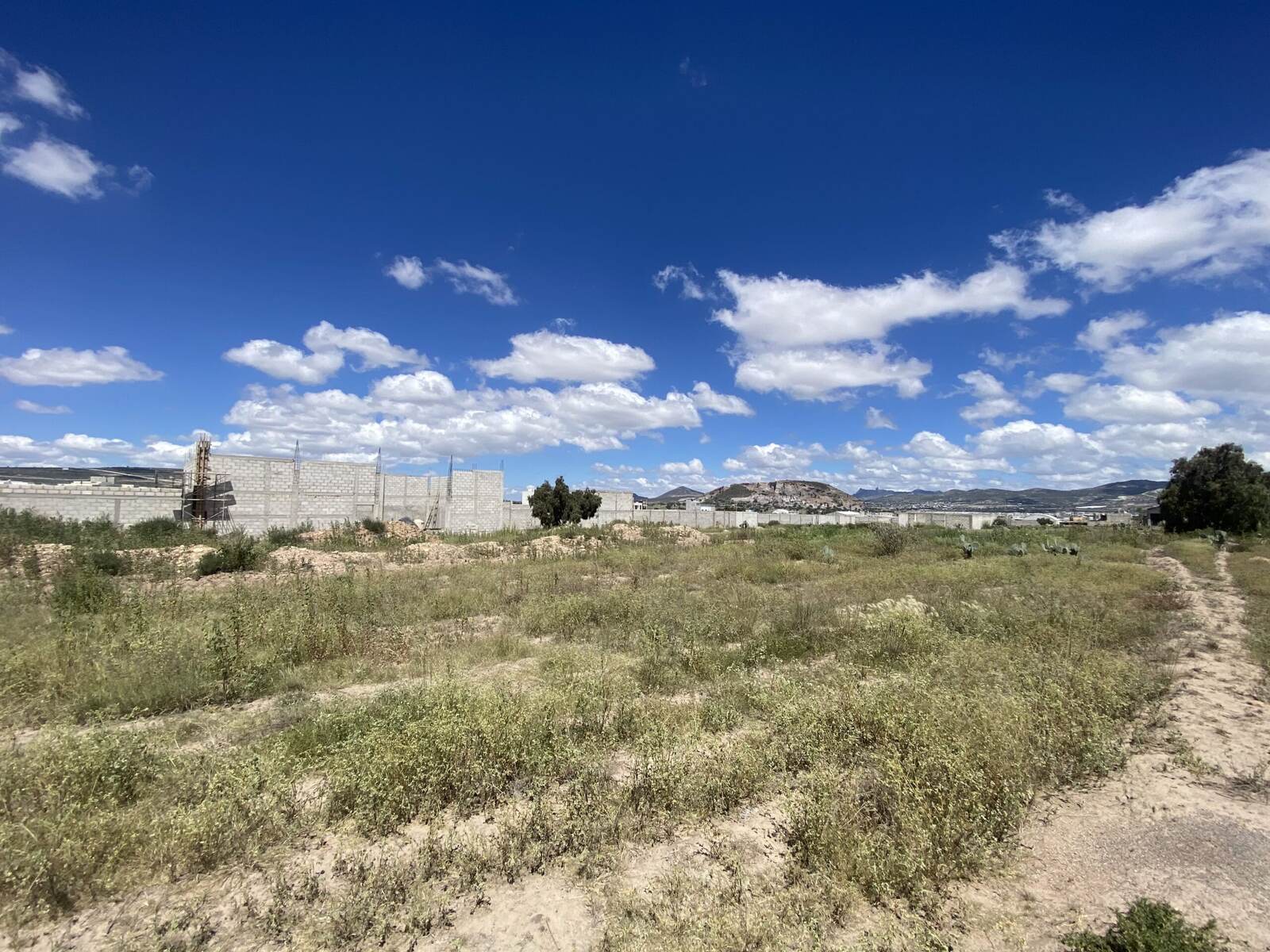 La Loma - imagen 4