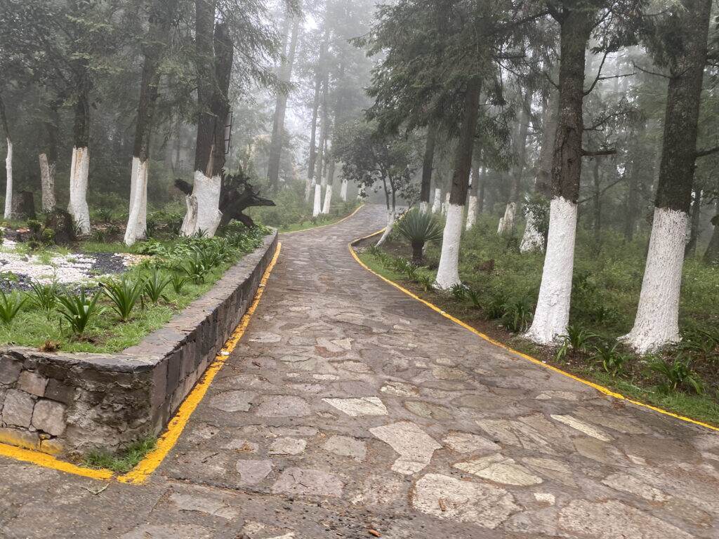 Real Las Flores – Lote Contado