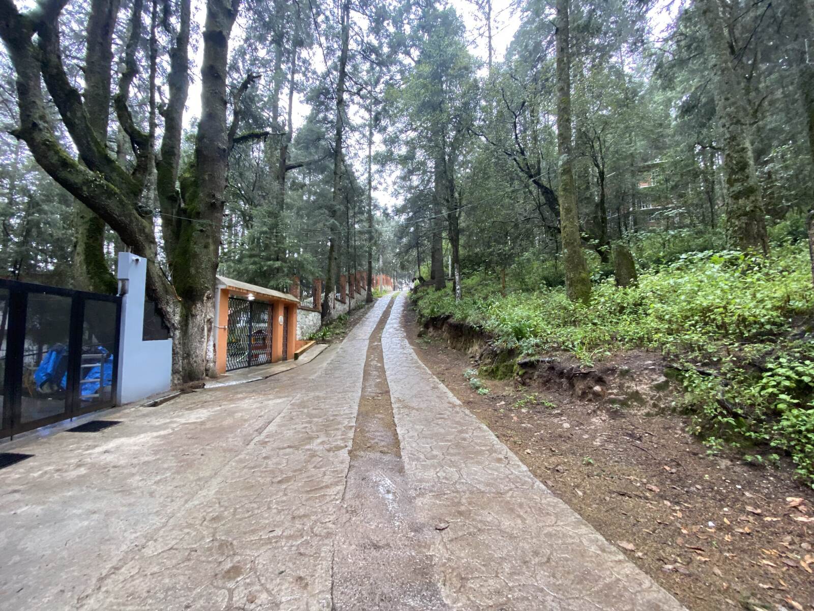 Real Las Flores – Lote Contado - imagen 5