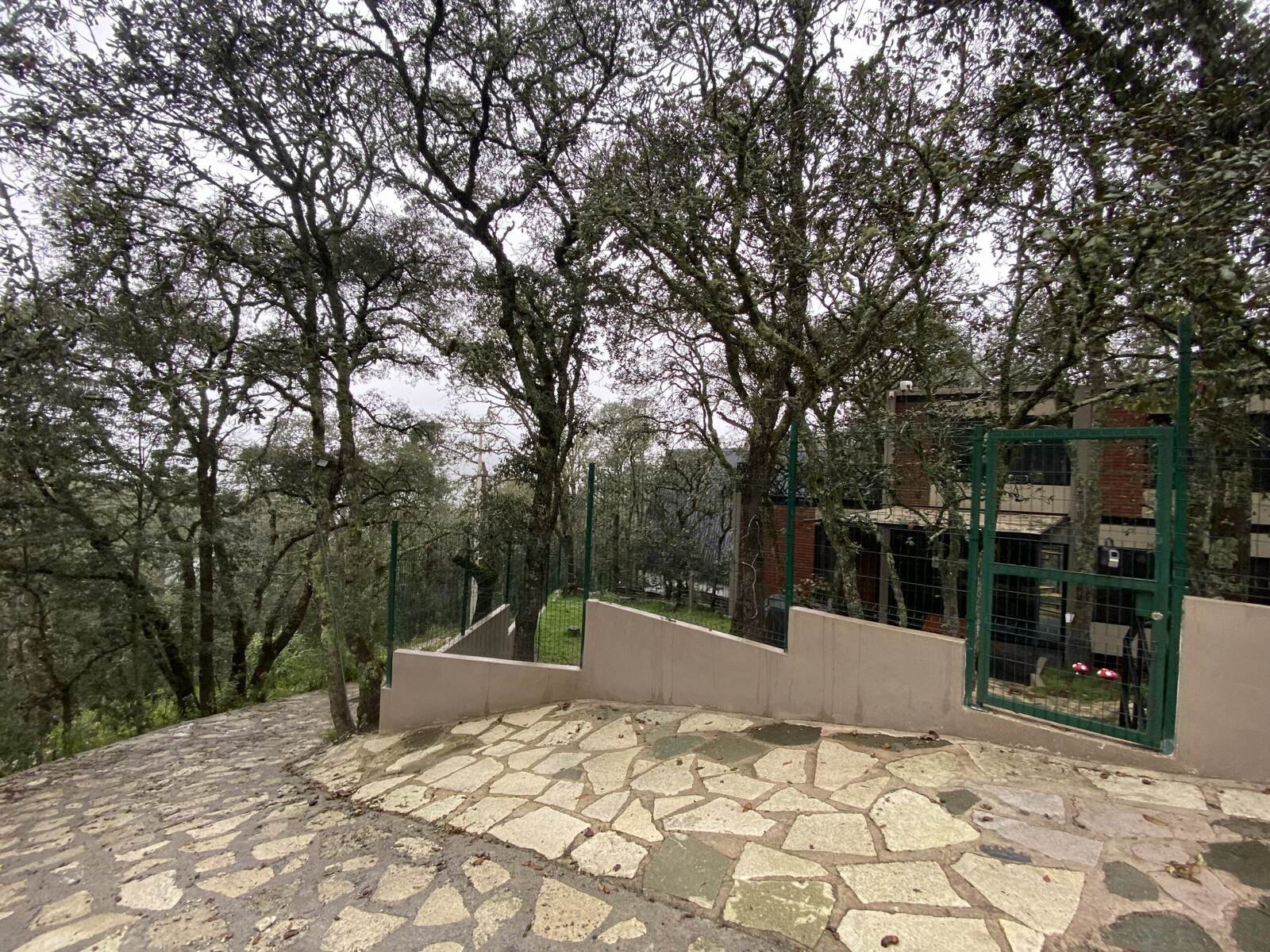 Real Las Flores – Lote Contado - imagen 8