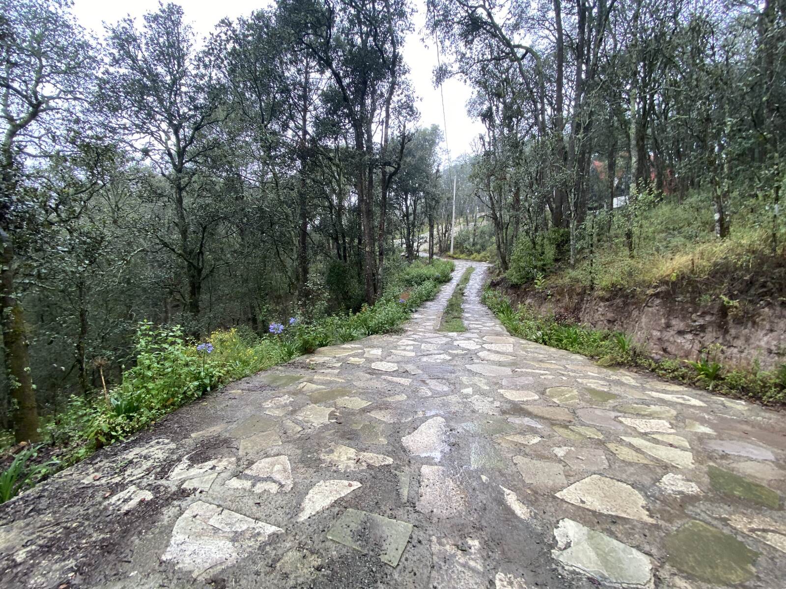 Real Las Flores – Lote Contado - imagen 11
