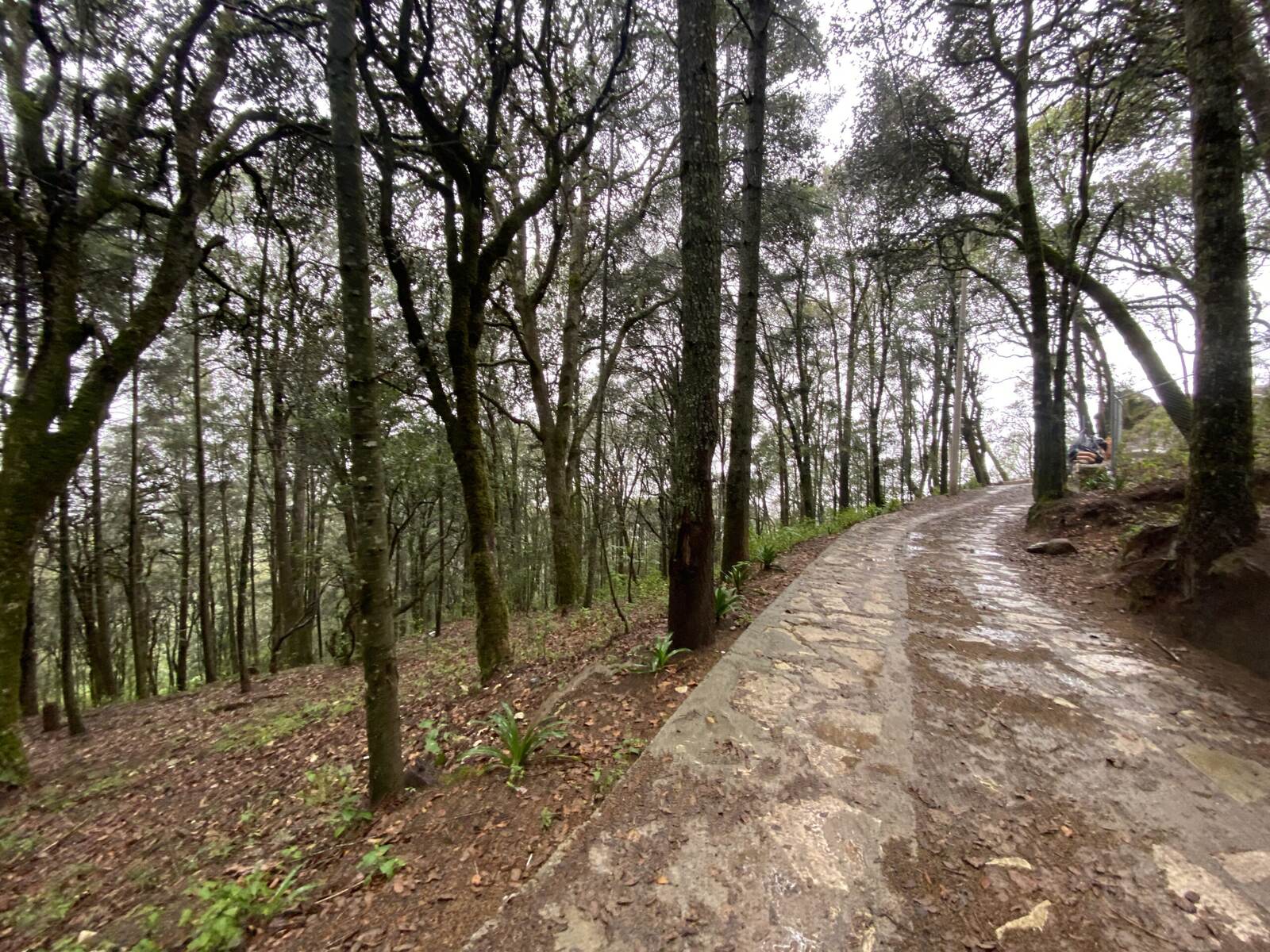 Real Las Flores – Lote Contado - imagen 12
