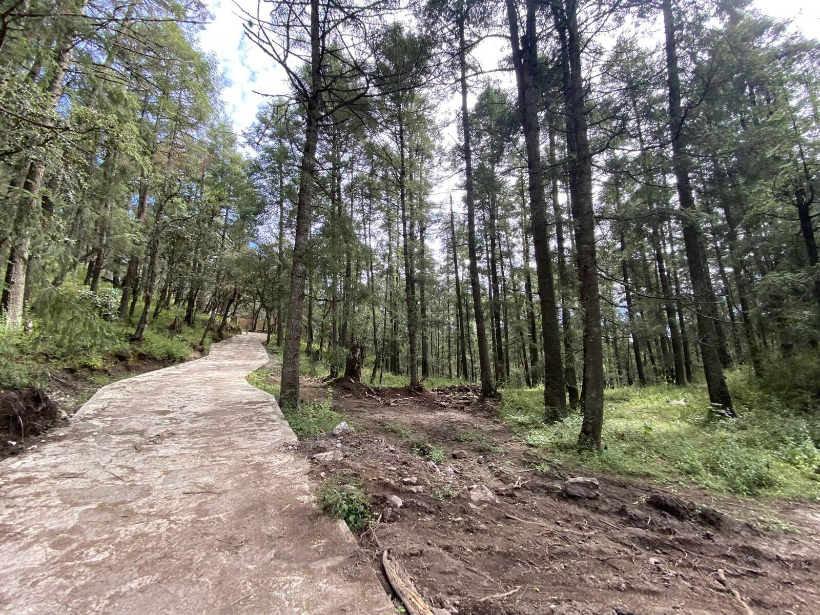 Real Las Flores – Lote Contado - imagen 13