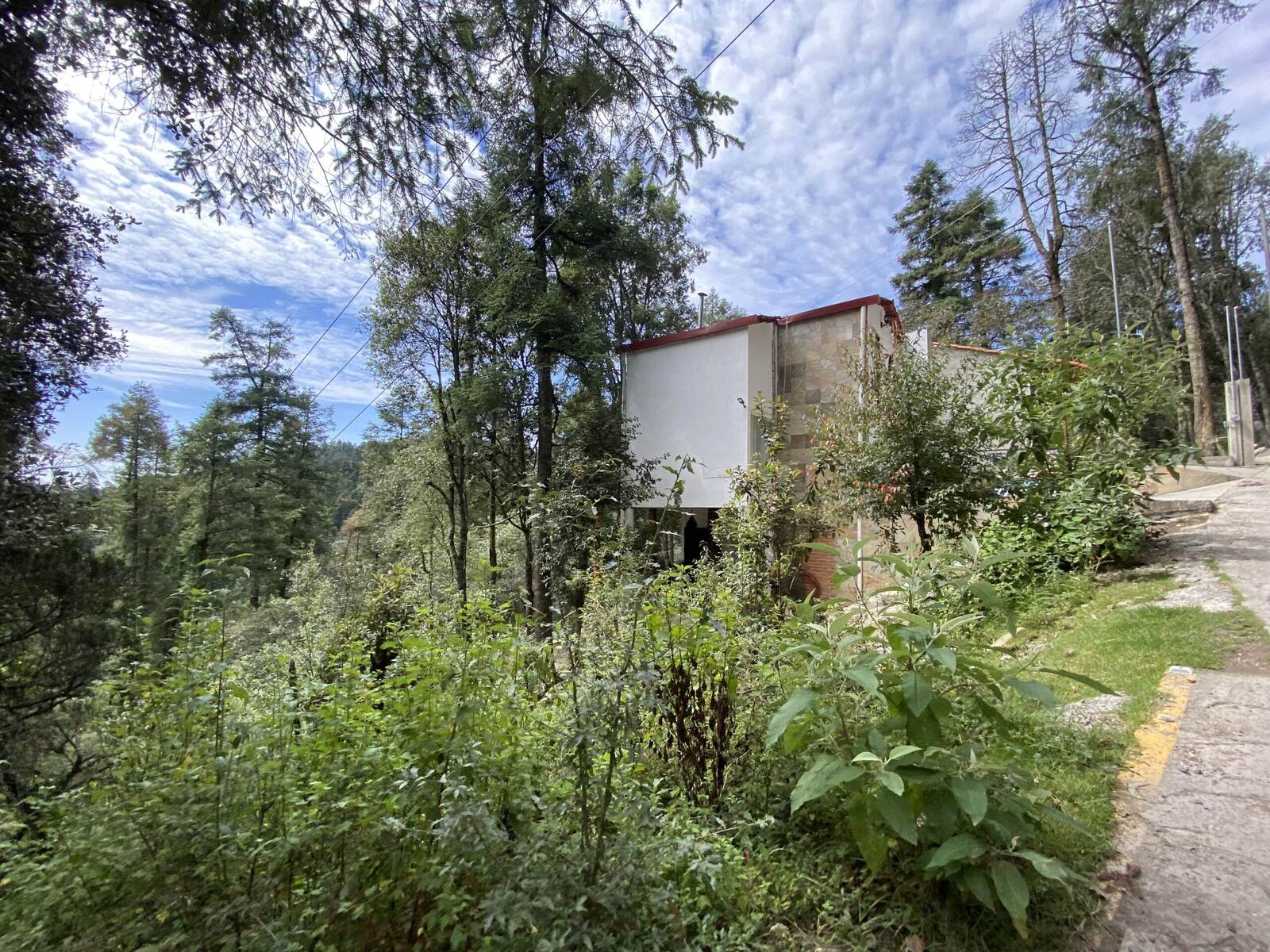Real Las Flores – Lote Contado - imagen 18