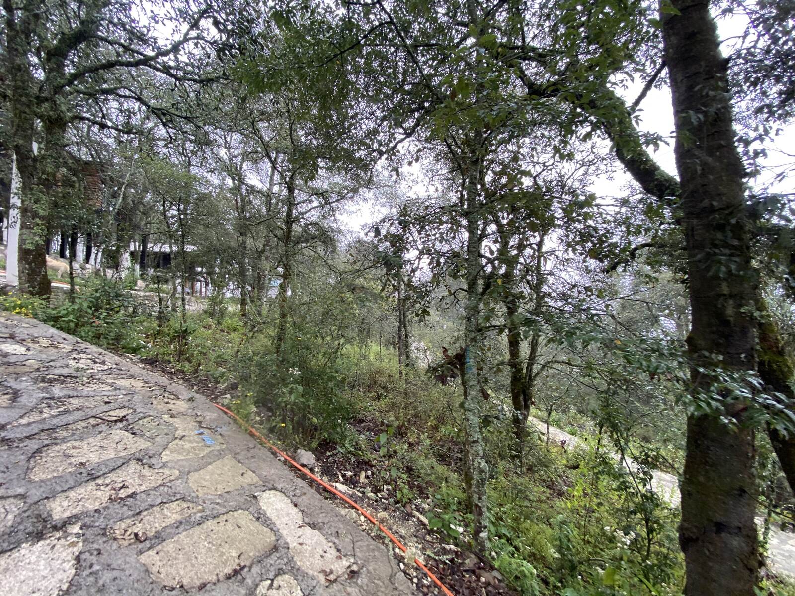 Real Las Flores – Lote Contado - imagen 28