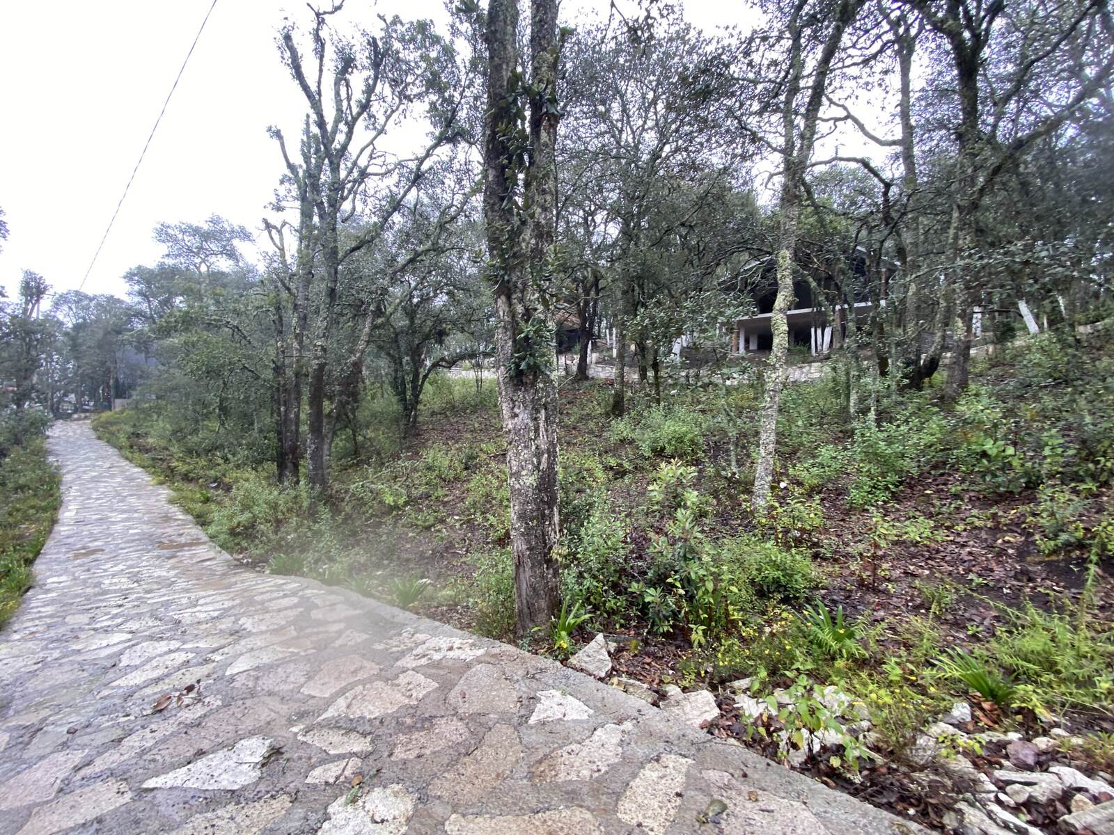 Real Las Flores – Lote Contado - imagen 29