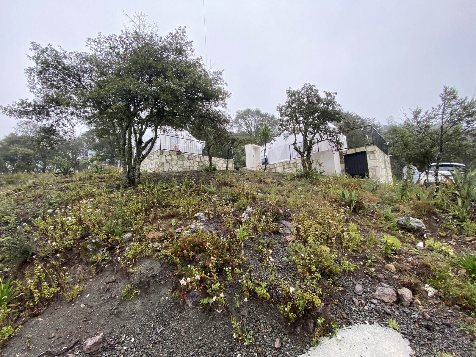 Real Las Flores – Lote Contado - imagen 33
