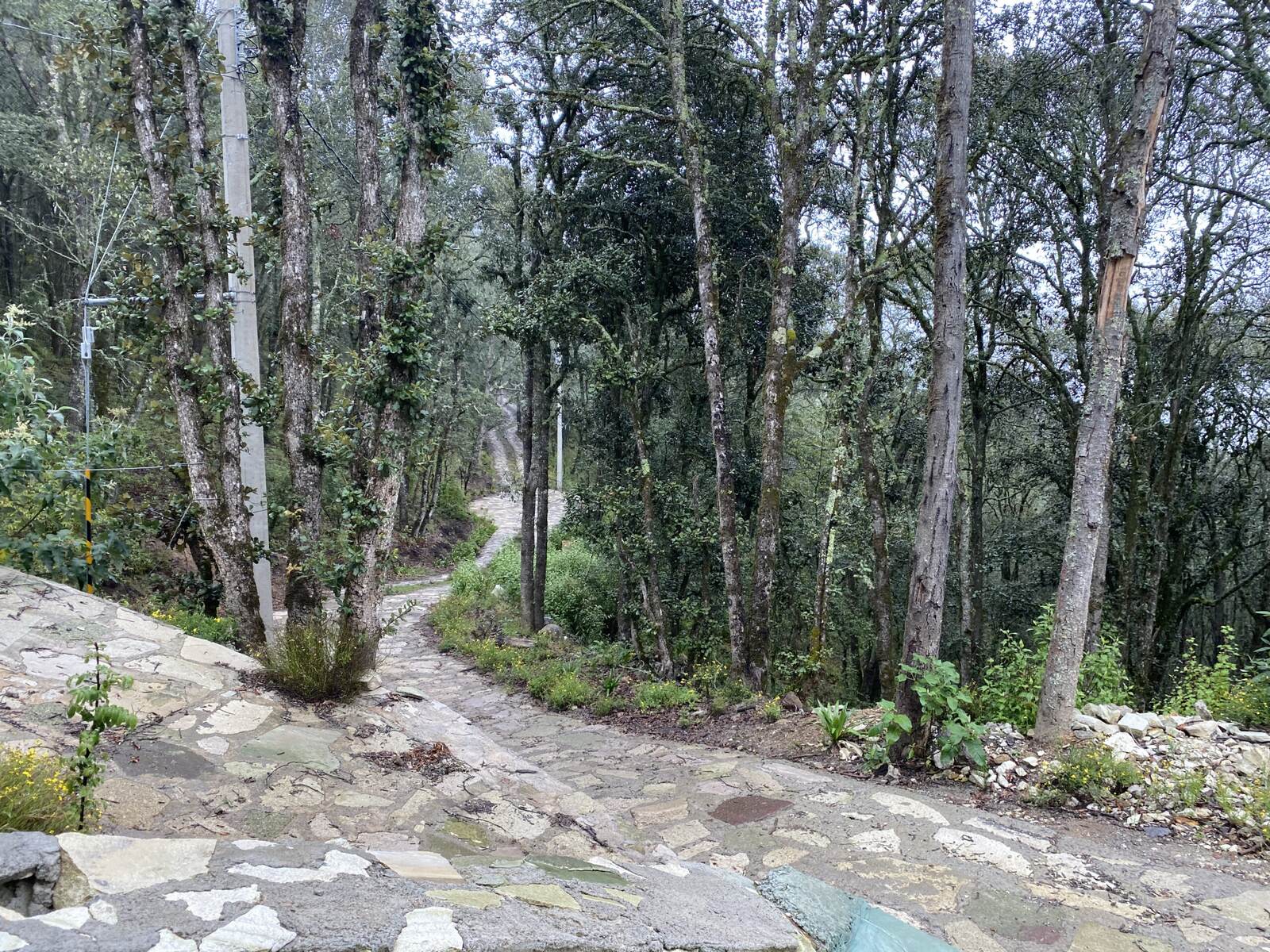 Real Las Flores – Lote Contado - imagen 34