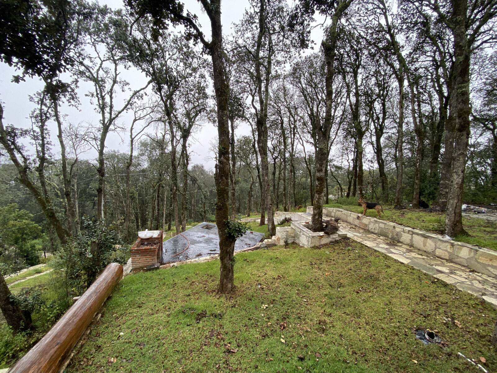 Real Las Flores – Lote Contado - imagen 35