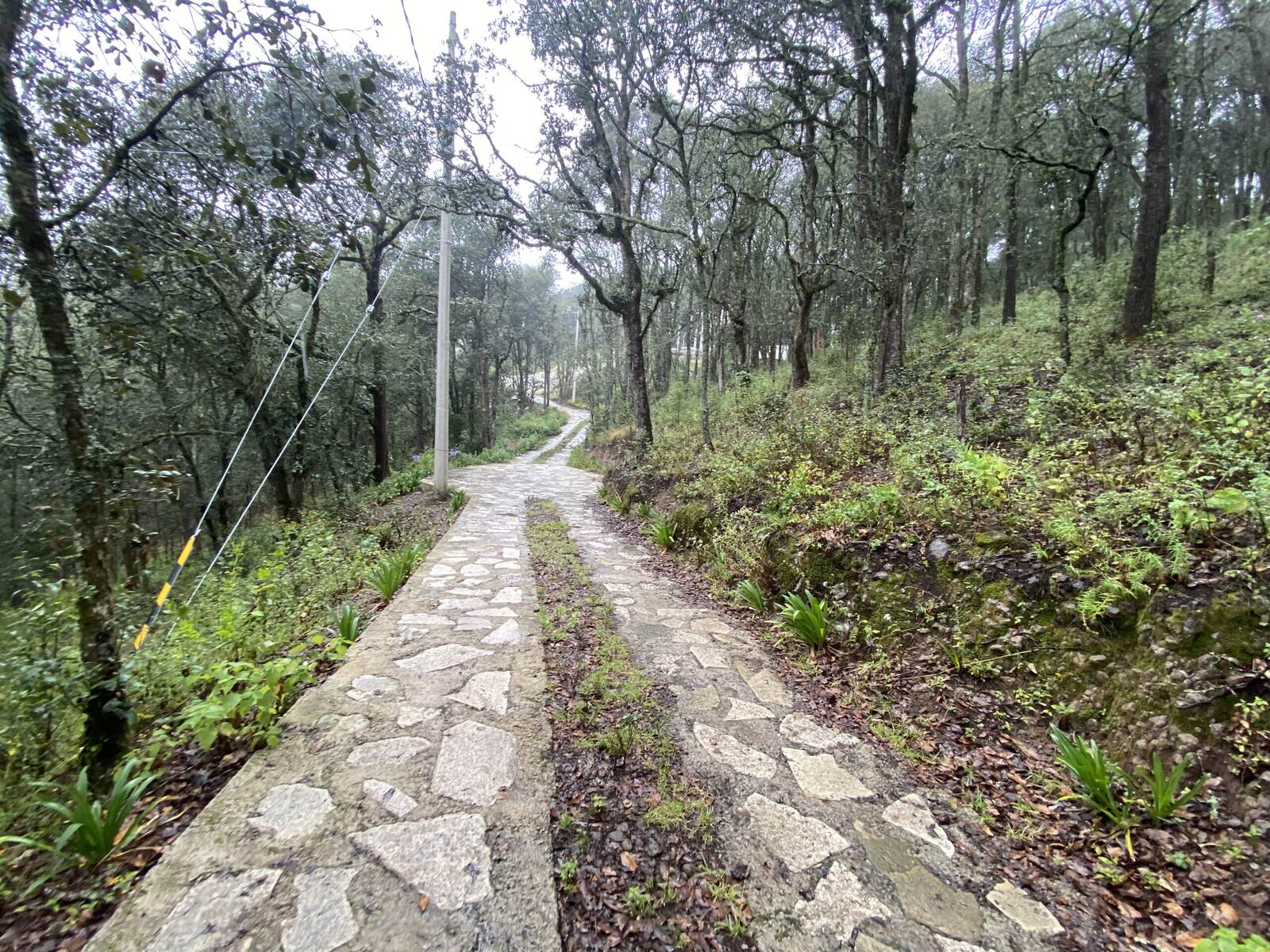 Real Las Flores – Lote Contado - imagen 43