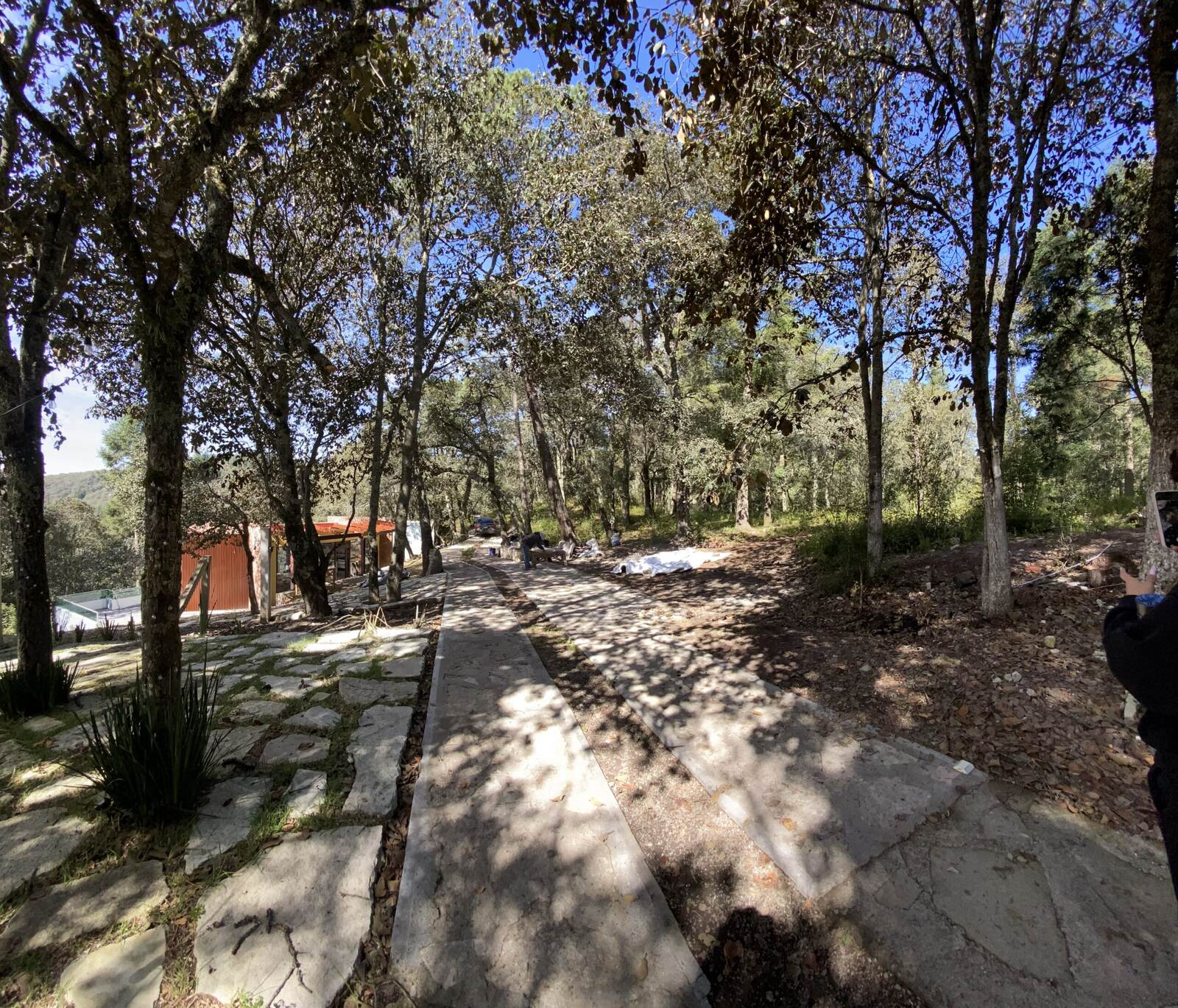 Real Las Flores – Lote Contado - imagen 52