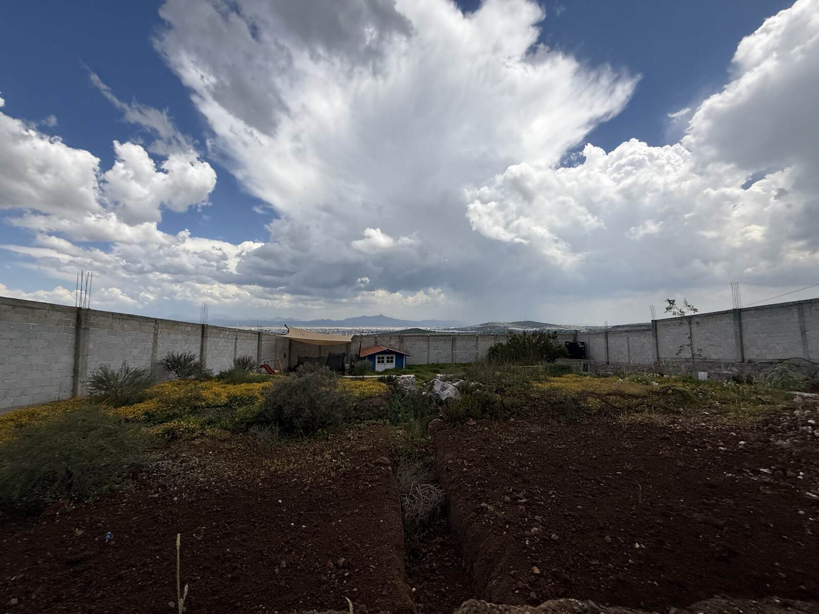 Santa Gertrudis Terreno bardeado - imagen 18