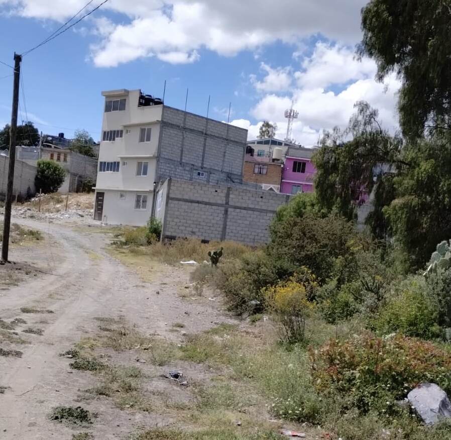 Lote Don Carlos - imagen 4