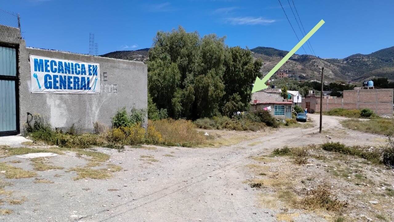 Lote Don Carlos - imagen 5