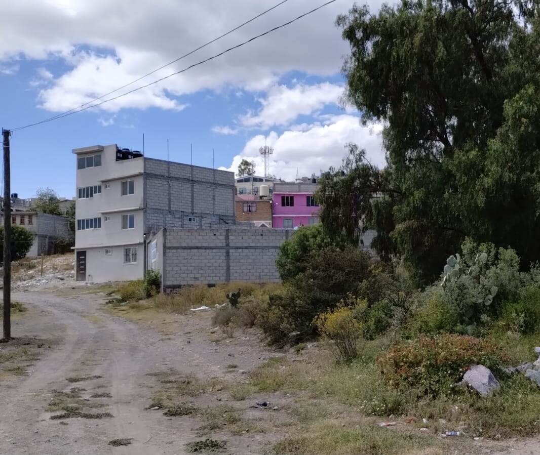 Lote Don Carlos - imagen 6